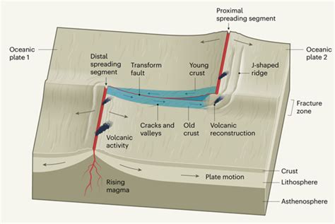 Tectonics and Structural Geology | Extensional tectonics at oceanic transform faults: a new ...