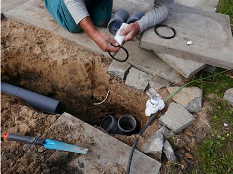 Detecting and Preventing Tree Roots in Your Sewer Line - 24 Hour Flood Pros