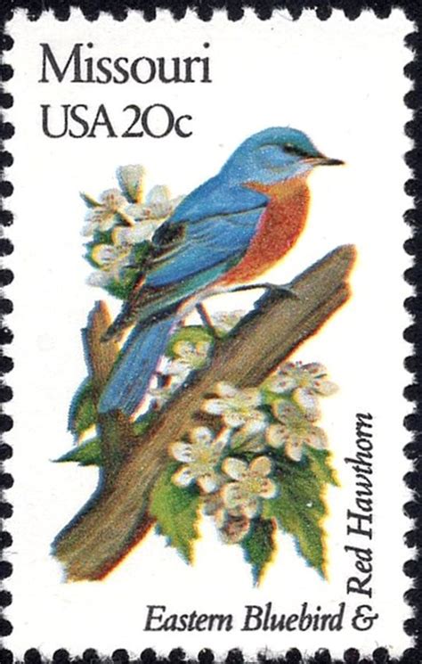 Five 20c MISSOURI State Bird and Flower Stamp Vintage Unused - Etsy