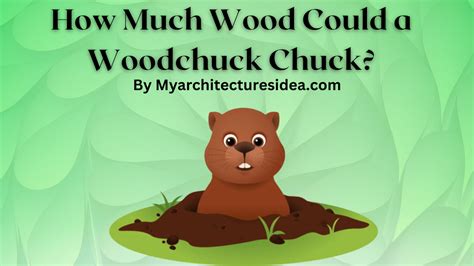 Woodchuck Chucking Wood