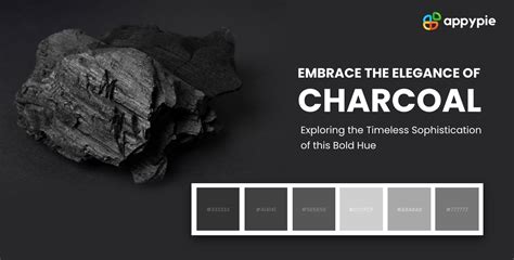 Uncovering the mysteries of Charcoal Color: A comprehensive Guide