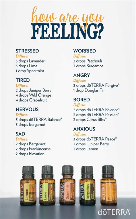 Essential Oil Blend Recipes For Anxiety | Recipe Loving