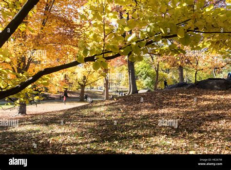 Fall Foliage in Central Park, NYC Stock Photo - Alamy