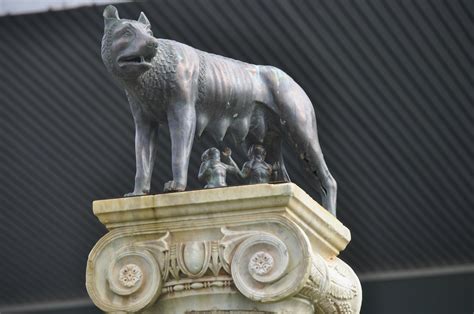 Wolf Statue Photos, Download The BEST Free Wolf Statue Stock Photos ...