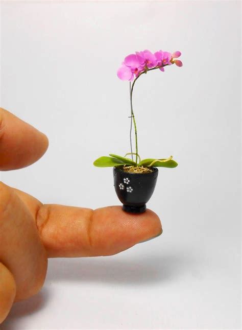 Magnificent potted orchid in 1/12 scale miniature #Orchids | Miniatures, Orchids, Orchid care