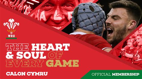 Welsh Rugby Union | Wales & Regions | WRU Official Memberships