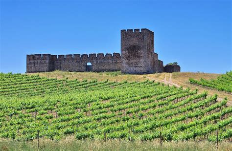 Top 10 Best Wineries to Visit in Alentejo | Cellar Tours