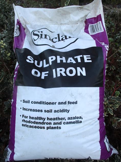 Roger Brook - the no dig gardener: Iron sulphate for lawn moss control revisited