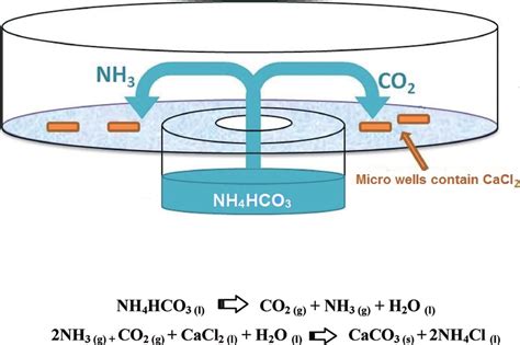 Experimental chamber. Ammonium bicarbonate ĲNH 4 HCO 3 ) placed in the... | Download Scientific ...