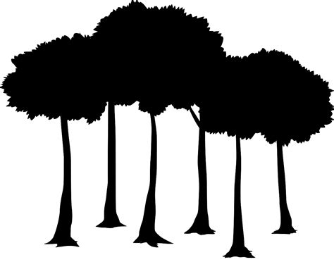 SVG > tree plant organic trunk - Free SVG Image & Icon. | SVG Silh