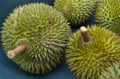 Durian 101: everything you need to know about Southeast Asia's ‘King of Fruits’ - Lonely Planet