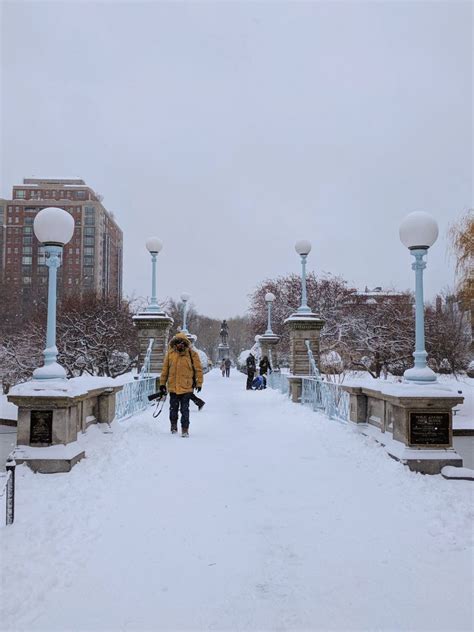 21 Magical Winter Things to Do in Boston—Local’s Guide