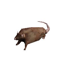 Spinning Rat GIF | Horizontally Spinning Rat | Know Your Meme