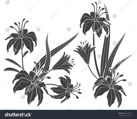 Silhouette Lily Flower Tattoo Illustration Stock Vector (Royalty Free ...