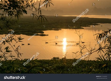 16 Pashan Lake Stock Photos, Images & Photography | Shutterstock