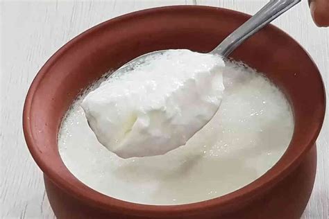 Top 112 + Eating curd benefits for hair - polarrunningexpeditions