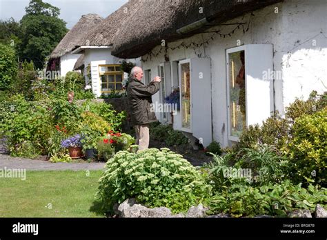 Irish thatched cottages, Adare County Limerick, Ireland Stock Photo - Alamy