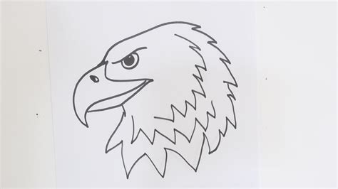 How to draw an eagle head step by step easy video tutorial for beginners | Rock Draw