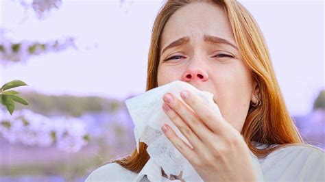 How to Control Sneezing Allergy