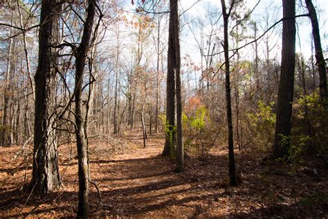 F.D. Roosevelt State Park and Pine Mountain Trail — ATLnature