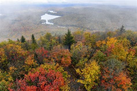 Vibrant Colors of Fall Foliage in the Adirondack Mountains Stock Image - Image of branches ...