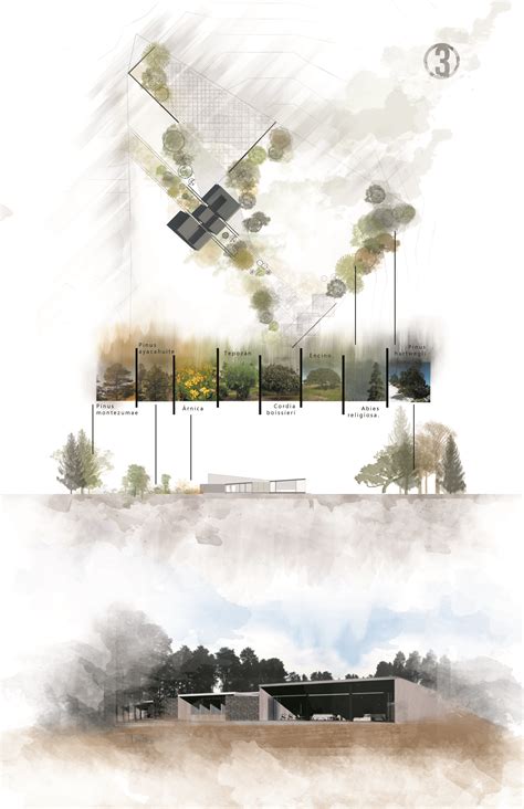 Landscape presentation board | Landscape architecture presentation ...