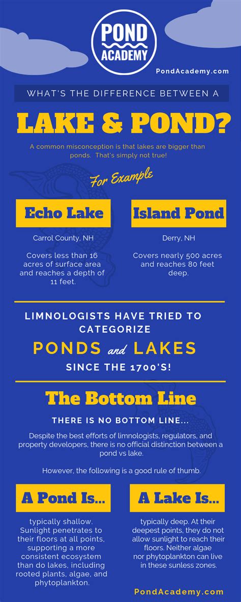 Lake vs Pond: What Is the Difference Between a Lake and a Pond?