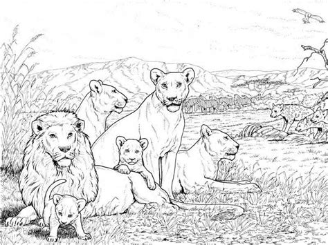 15 Majestic Lion Coloring Pages for Kids of All Ages