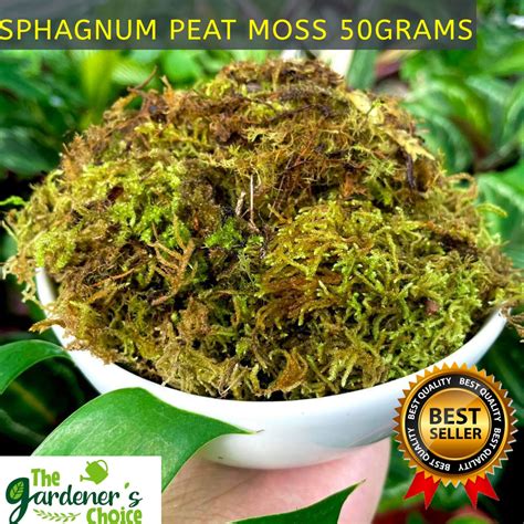 SPHAGNUM MOSS (High Quality - Best for Orchids and Pet Bedding)/ Sphagnum Peat Moss | The ...