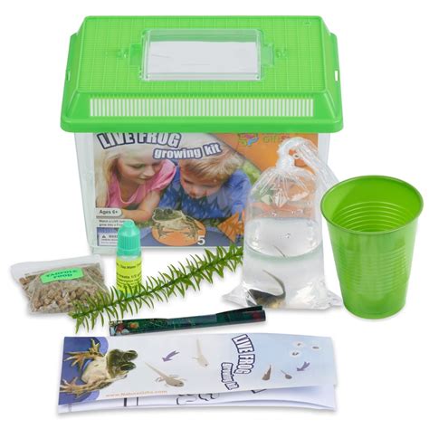 Frog Growing Kit: 1-Gallon Habitat with 1 FREE Tadpole - Certificate to ...