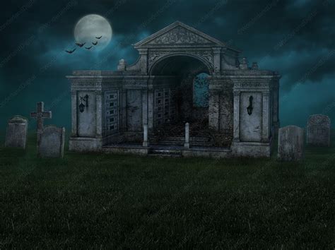 Halloween Cemetery Digital Backdrop Skeleton Backdrop - Etsy