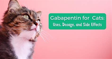 28 Best Images Gabapentin For Cats Dosage Chart Liquid - Gabapentin Wikipedia | blackh0le1412