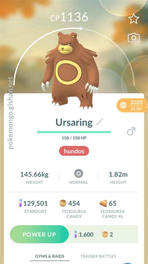 Ursaring - Pokemon Go