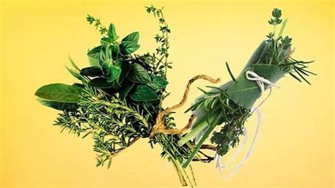 Bouquet Garni: Herbs, Composition, Uses, Substitutes, Flavor