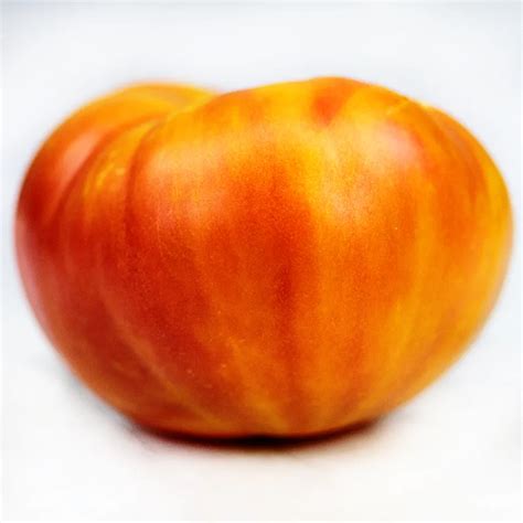 Big Rainbow Tomato Seeds | Baker Creek Seeds