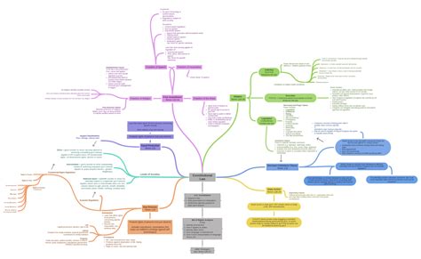 Constitutional Law - Coggle Diagram