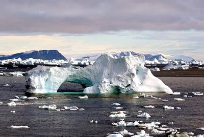 Impacts of climate change on Antarctic ecosystems