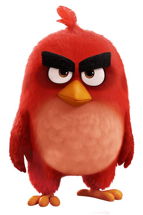 Angry Birds Pelicula Pájaro Rojo PNG transparente - StickPNG