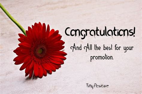 Congratulations Wishes On Promotion – Simple Congratulations Messages Quotes 3 | Congratulations ...