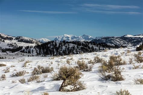 Winter in Lamar Valley - Yellowstone Photograph by Mountain Dreams | Fine Art America