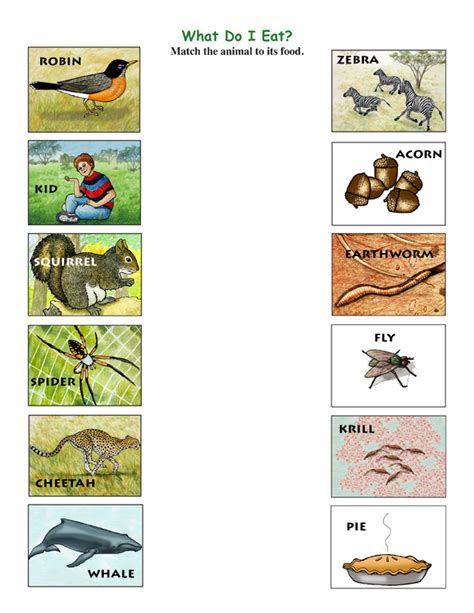 Predator Prey Matching Game -- Exploring Nature Educational Resource