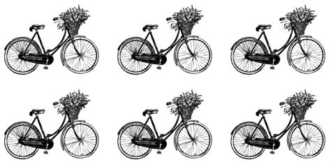 Bicycle Flowers Vintage Wallpaper Free Stock Photo - Public Domain Pictures