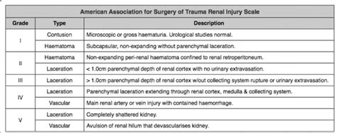 AAST organ injury scale for kidney trauma | Download Scientific Diagram