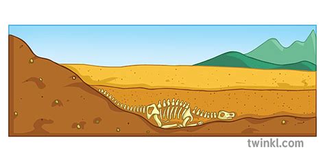 fossilisation isigaba ezintathu umdwebo ukubola isayensi yesibili Illustration