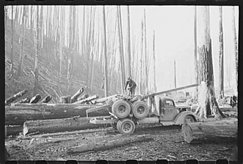 188 best images about Logging Trucks on Pinterest | Canada, Tow truck and Washington