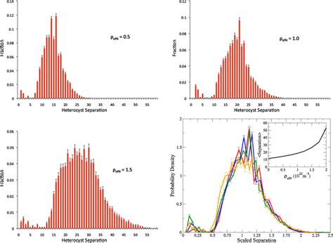 Heterocyst spacing distributions for filaments with local heterocyst ...