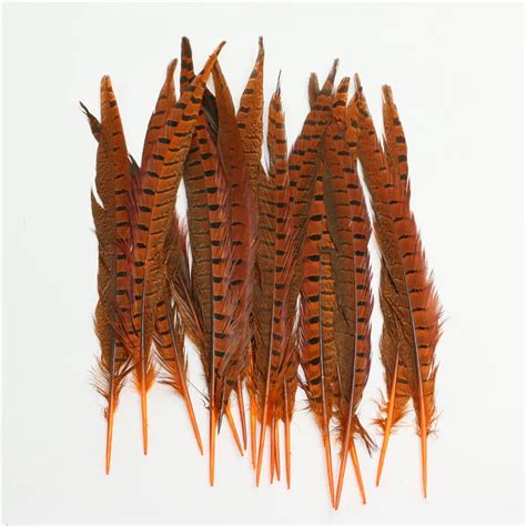 12 14 inch pheasant tail feathers Dyed ringneck lady amherst pheasant feathers indians headdress ...