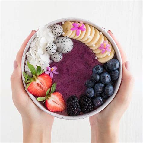 100g Açaí Berry Freeze-Dried powder – olenutrients.com