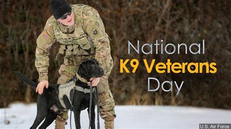 Wednesday is National K9 Veterans Day