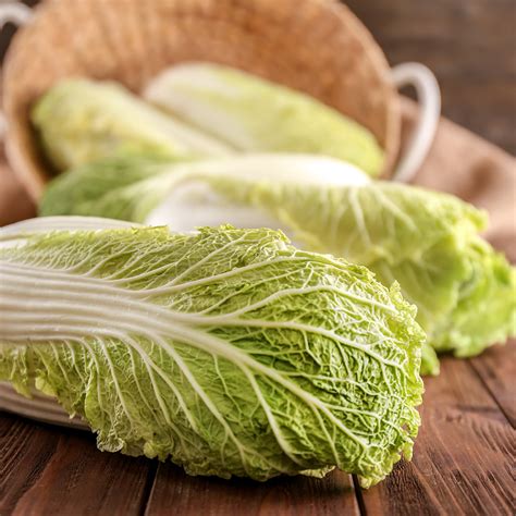 Baby Cabbage Seeds – greenleif.sg